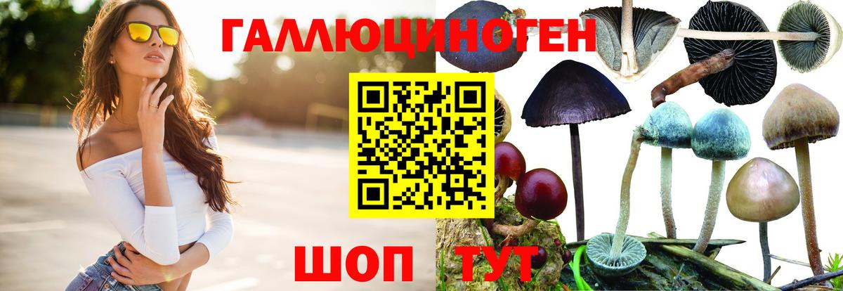 Псилоцибиновые грибы GOLDEN TEACHER  Вход с VPN  Сыктывкар 