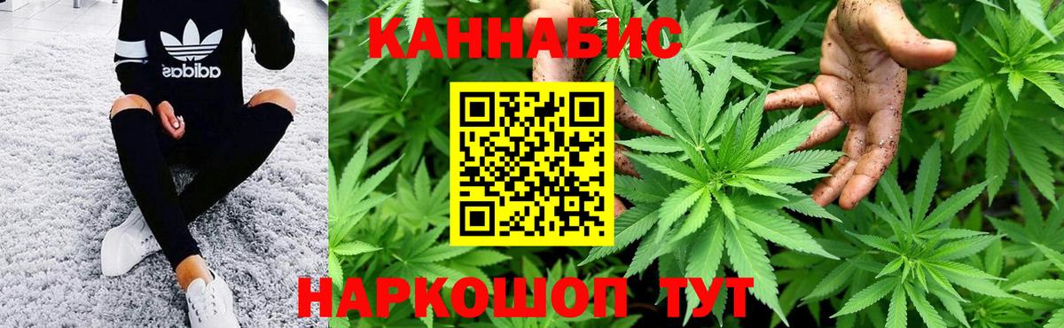 Бошки Шишки SATIVA & INDICA  Бошки Шишки тримм  Марихуана White Widow  Сыктывкар  Вход с VPN 